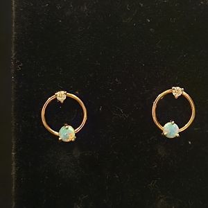 Gold tone Earrings